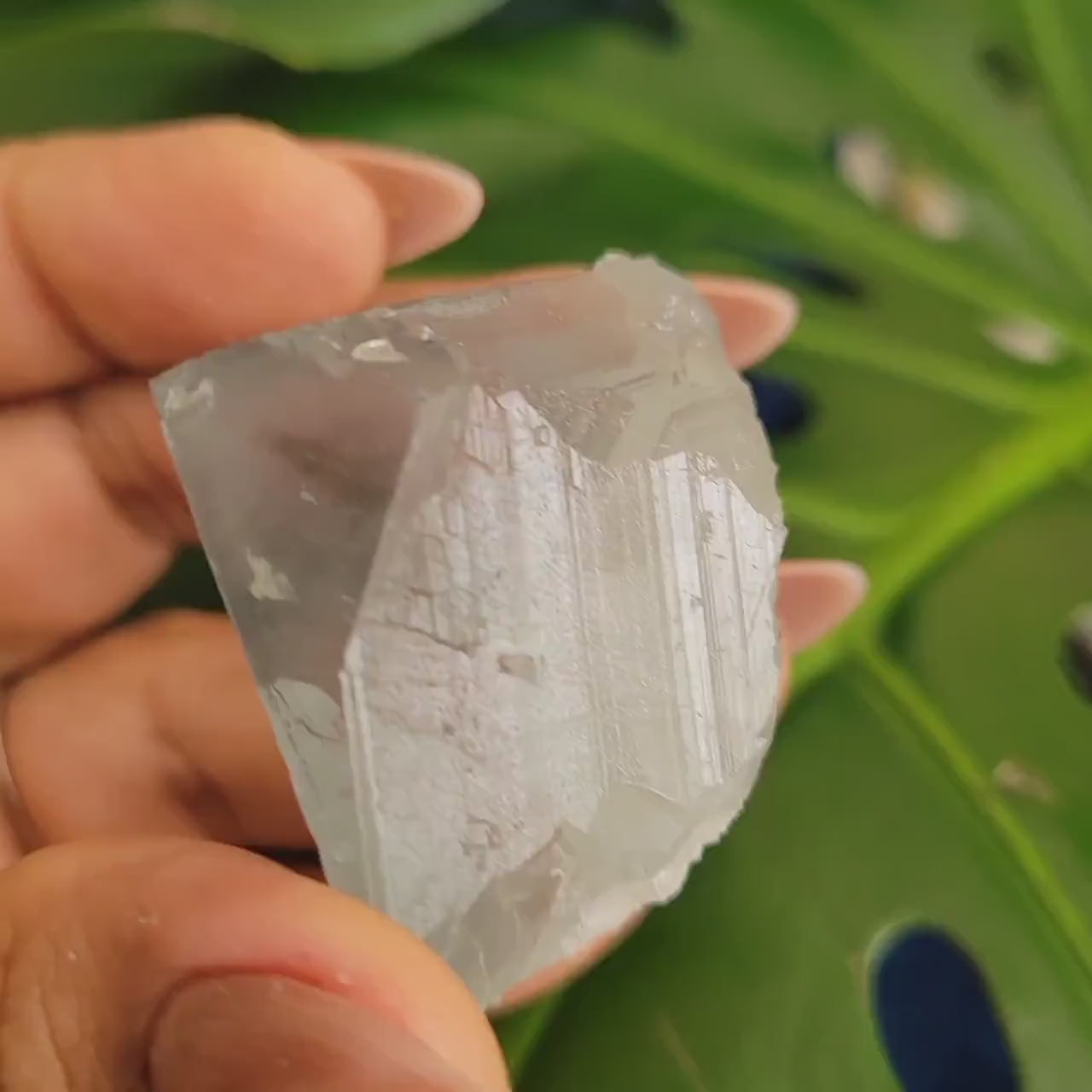 Beautiful Gemmy Blue Green Fluorite Cube | Crystal Collector | Home Decor | Gift Ideas for you | Genius Stone | High Grade Green Blue | 79g