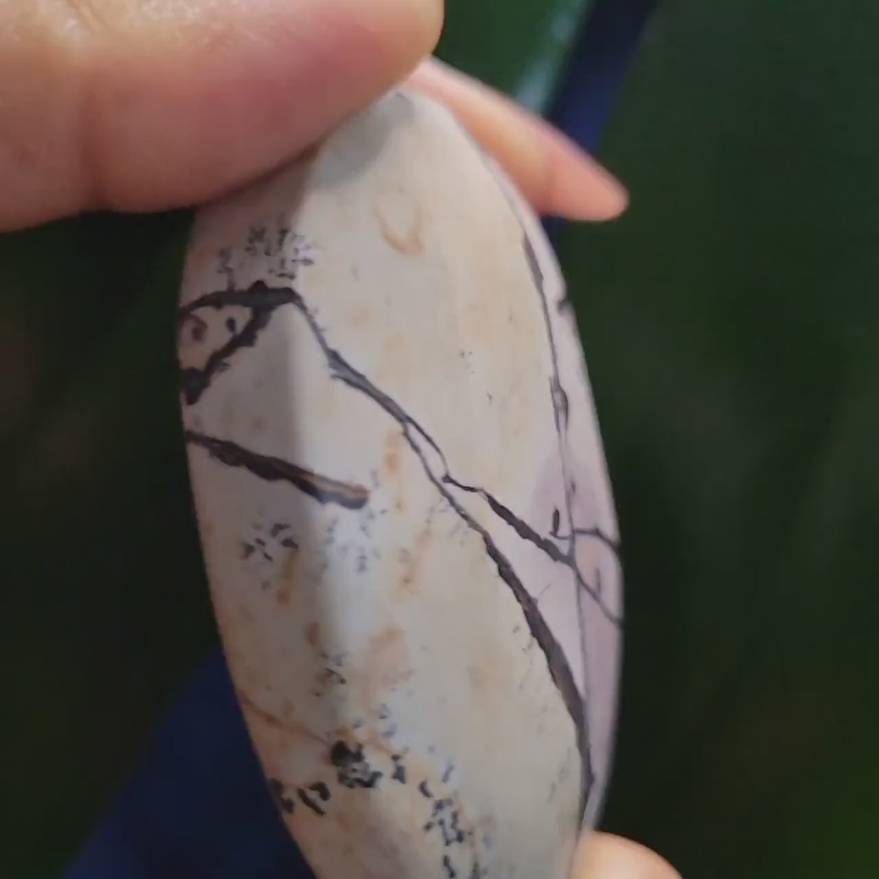 Picture Jasper Palm stone | Natural Landscapes of Art |Meditation Tool |Crystal Collector | Home Decor | Birthday Christmas Love Gift Ideas