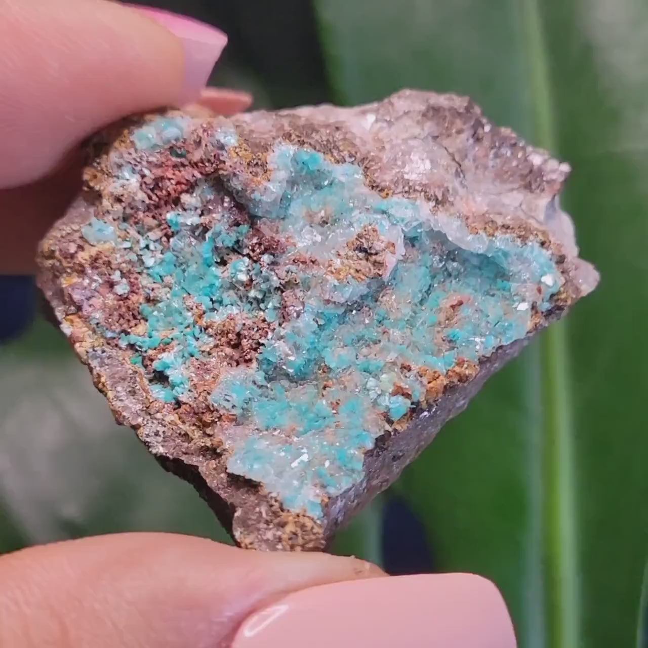 Crystalized Malachite Specimen in Display Case-Collector Birthday Christmas Gift Ideas-Strength and Abundance Energy-Green-57g