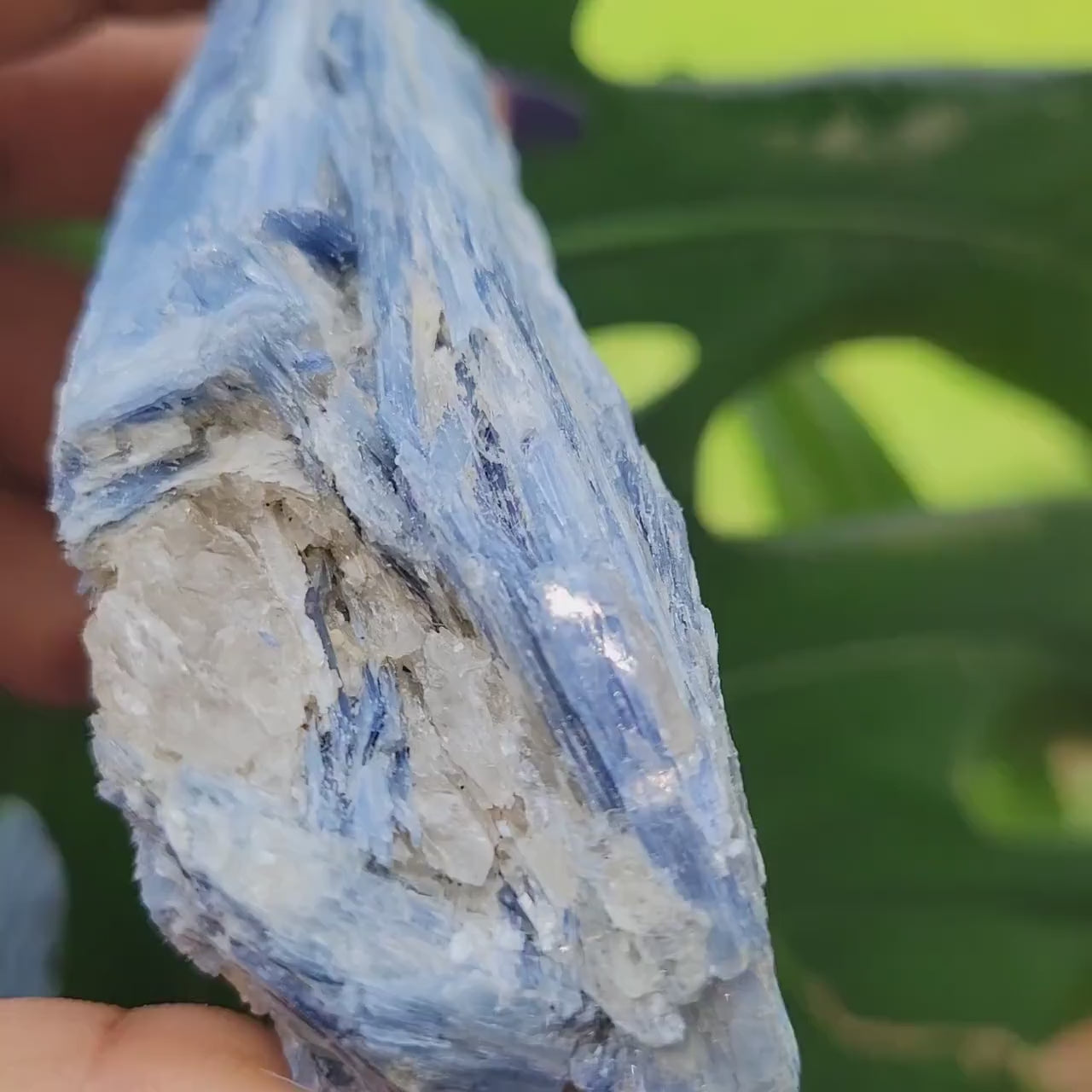 Kyanite & Quartz Crystal with Mica Inclusions - Raw Natural Mineral Specimen - Home Decor - Crystal Collector - Gift
