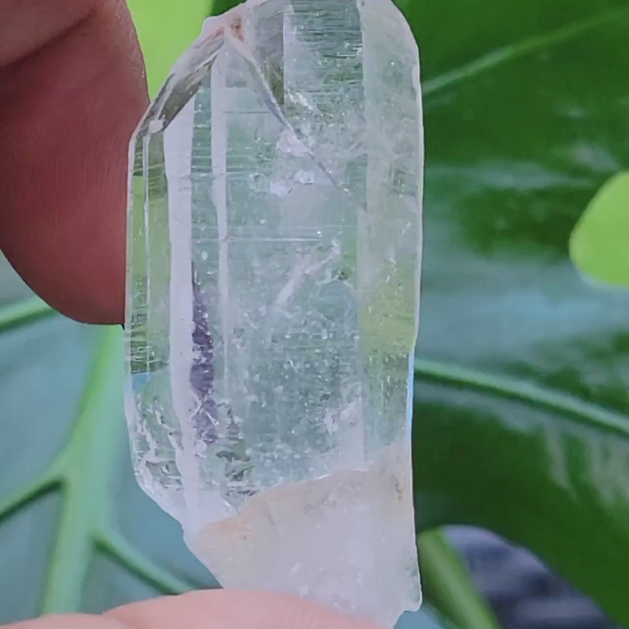 Lemurian Clear Quartz Raw & Natural Crystal Twin Points with Golden Healer from Arkansas | Home Office Decor | Crown Chakra Energy | Gift