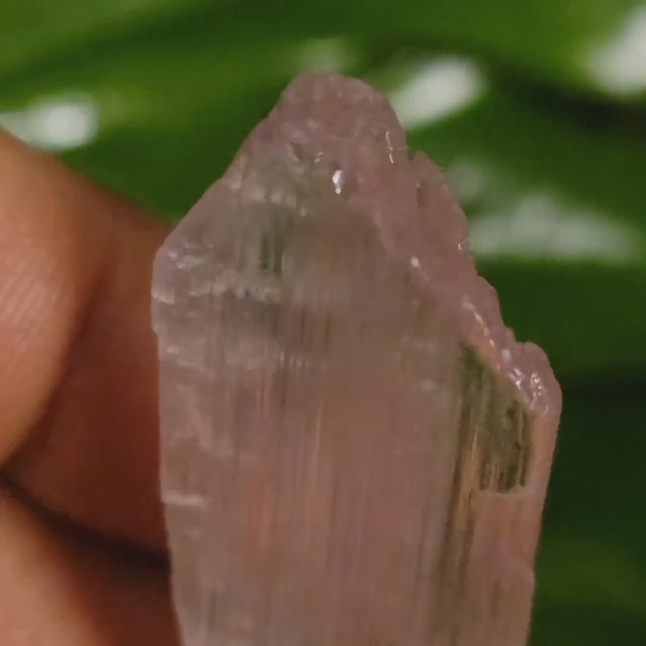 Etched & Translucent Gemmy Pink Kunzite | AAA Grade Crystal Specimen for Collectors | Heart Chakra | Love Gift Idea | Gorgeously Pink | 15g