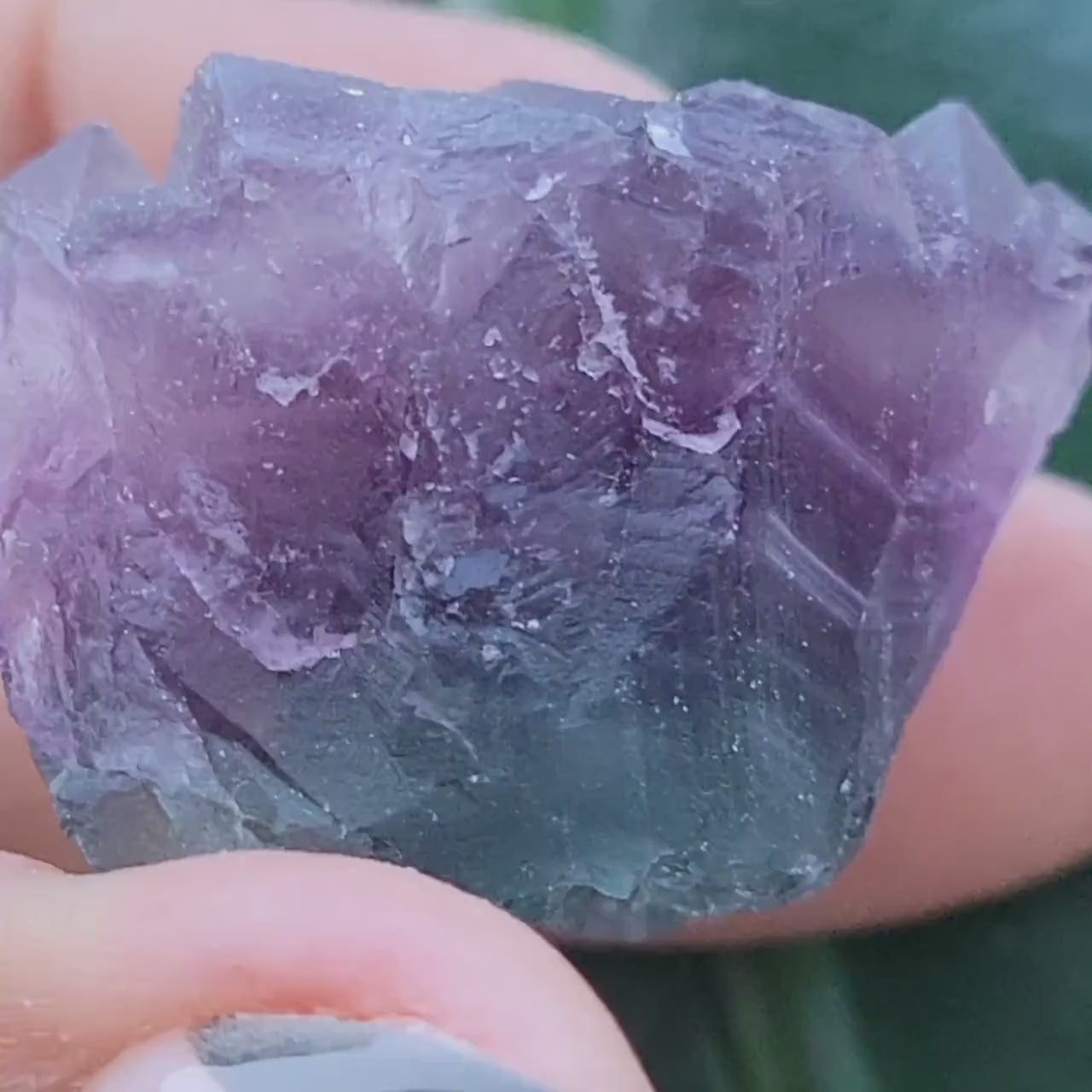 Beautiful Fluorite Specimen | Bicolor Purple & Green | Crystal Collector | Home Decor | Gift Ideas Birthday Christmas Love | Genius Stone