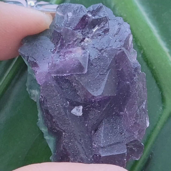 Beautiful Fluorite Crystal - Purple - Green - Crystal Collector - Home Decor - Gift