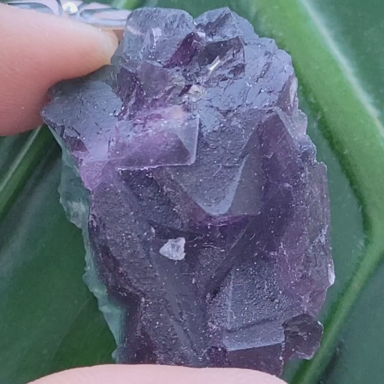 Beautiful Fluorite Crystal - Purple - Green - Crystal Collector - Home Decor - Gift