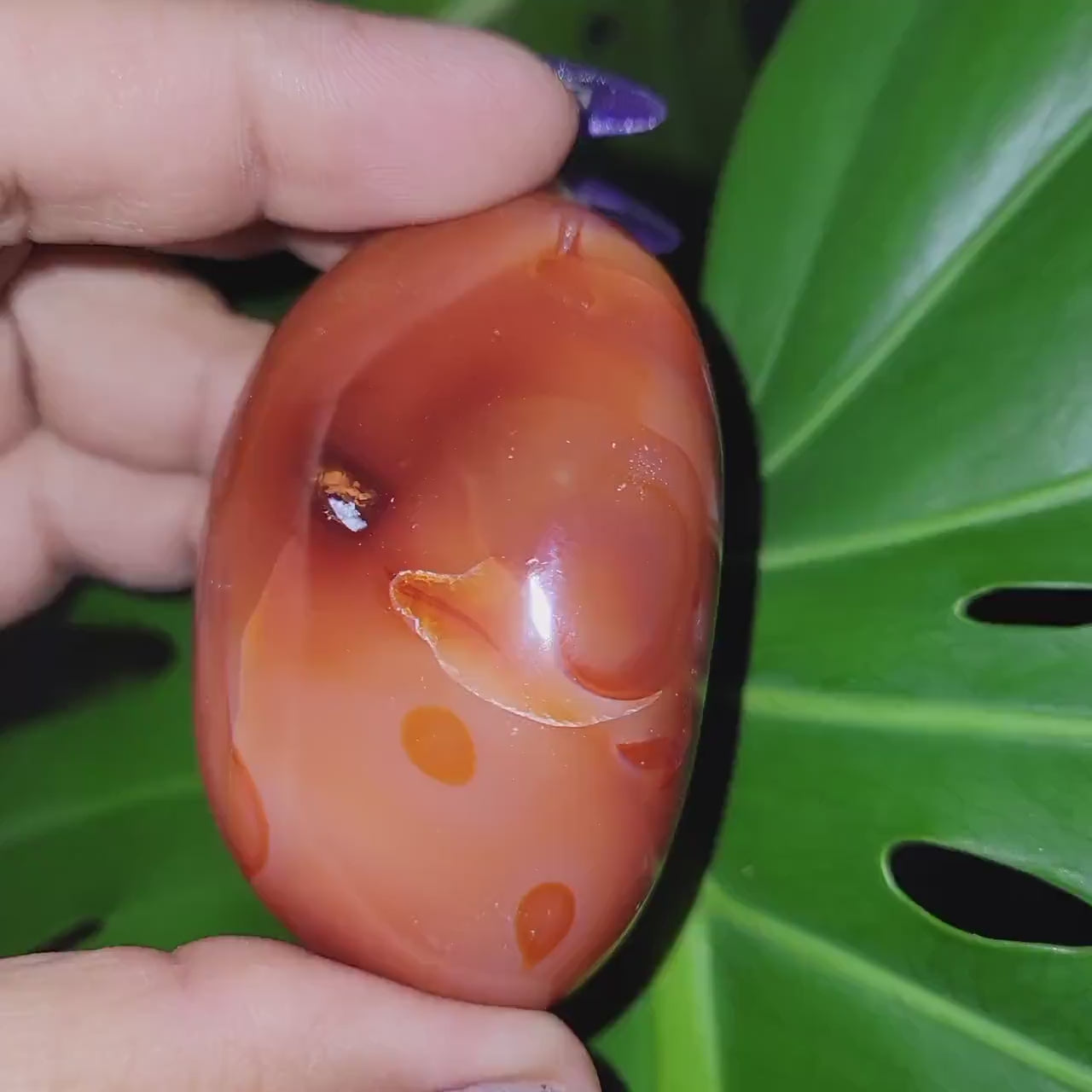 XL Exquisite energetic Carnelian gallet / palm stone of high quality. These juicy gems scream, courage-vitality-strength. Such a gem!