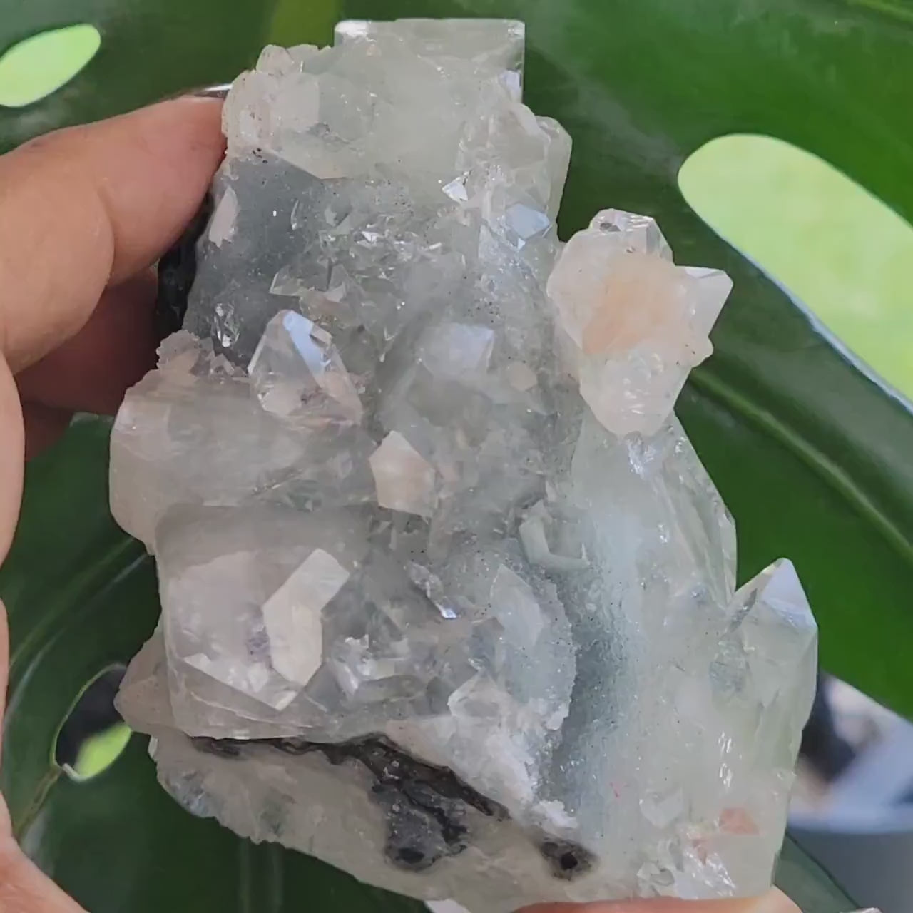 Gorgeous HQ Diamond Apophyllite with Peach Stilbite on Blue Chalcedony - India - Crystal Dbl Sided- Crystal Collector - Home Decor - Gift -