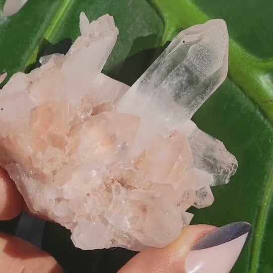 Stunning Pink Himalayan Quartz Cluster from the Himalayan Mountains|Crystal Collector|Birthday Valentines Day Love Gift Ideas | Home Decor
