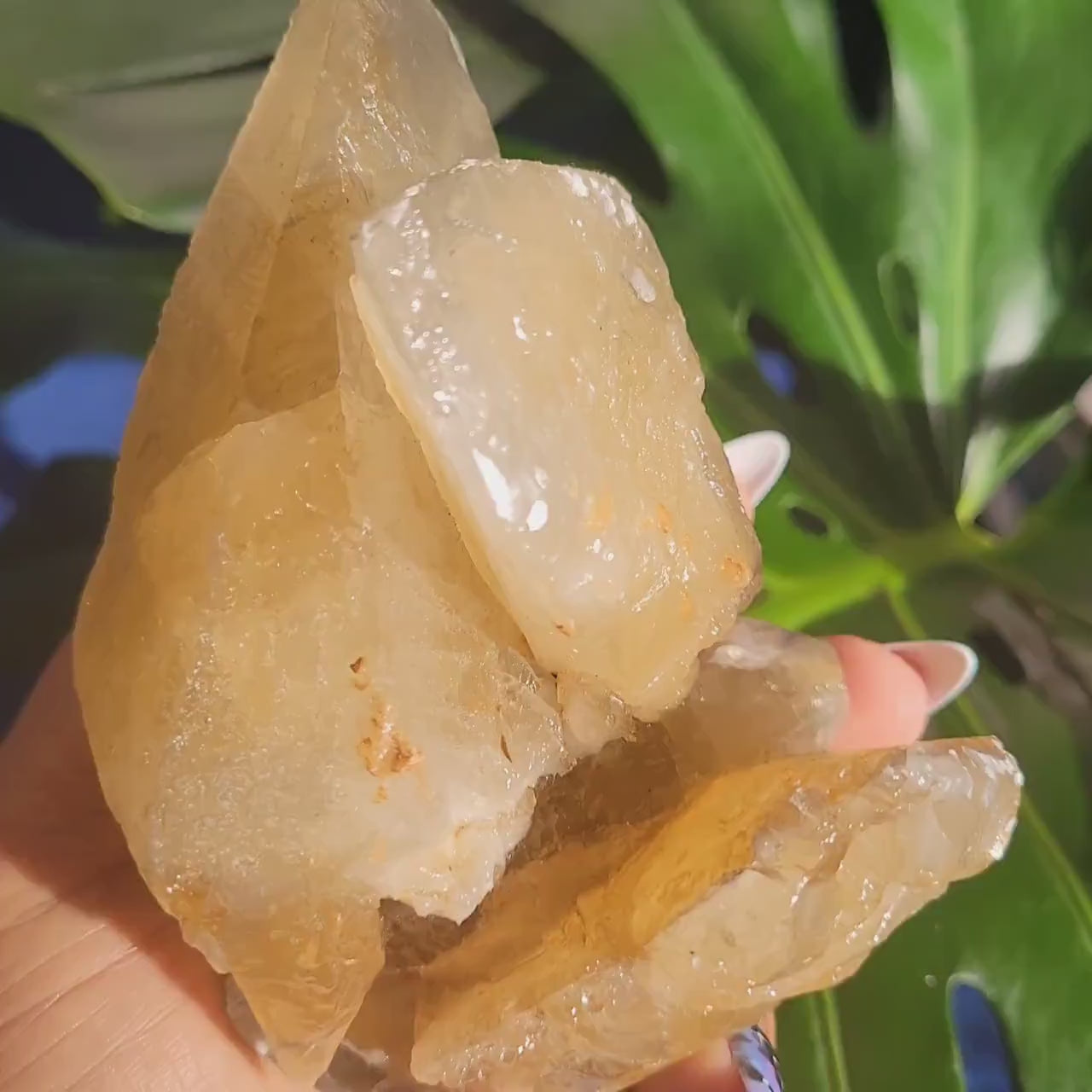 Dogtooth Calcite | Stunning Raw Specimen | Crystal Collectors | Home Decor | Gift | Gold & Gray | Solar Plexus Chakra | 737g / 1.6lbs