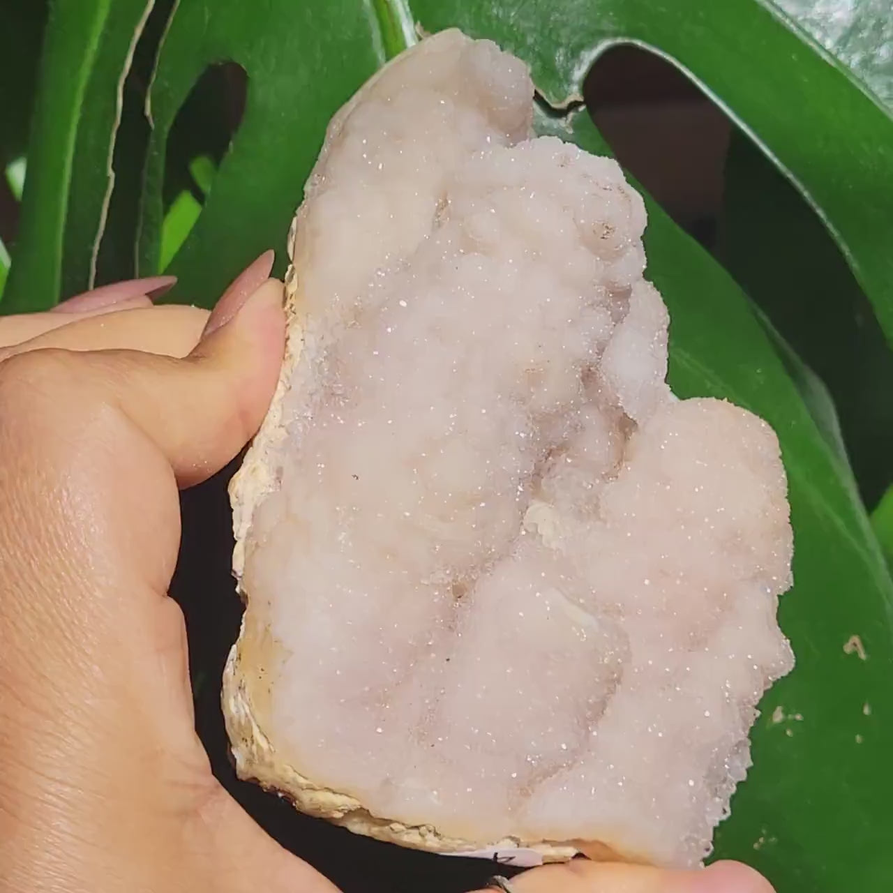Gorgeous Pink Sugary Amethyst Flowers|Botryoidal Stalactite Cluster with sparkles| Crystal Collectors|Valentines Day Love Gift for you|400g
