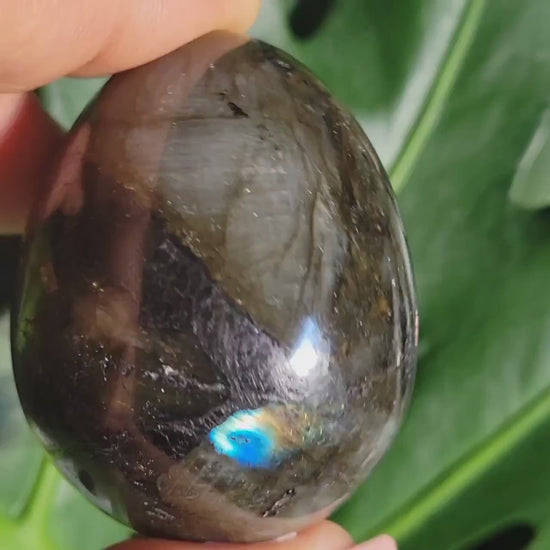 Flashy Labradorite Egg with Black Tourmaline from Madagascar-Birthday Anniversary Christmas Gift Ideas-Crystal Love Healing Energy