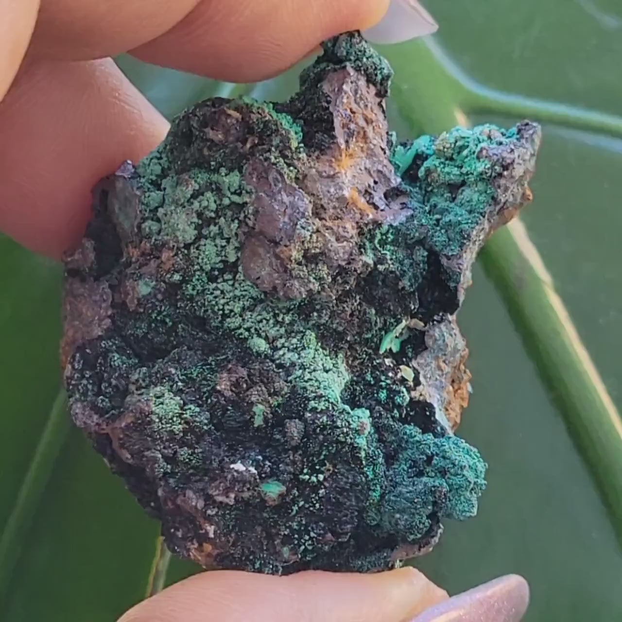 Malachite, Heterogenite and Galena Specimen in Display Case | Crystal Collector | Birthday Christmas Gift Ideas | Green Black Silver | 84g