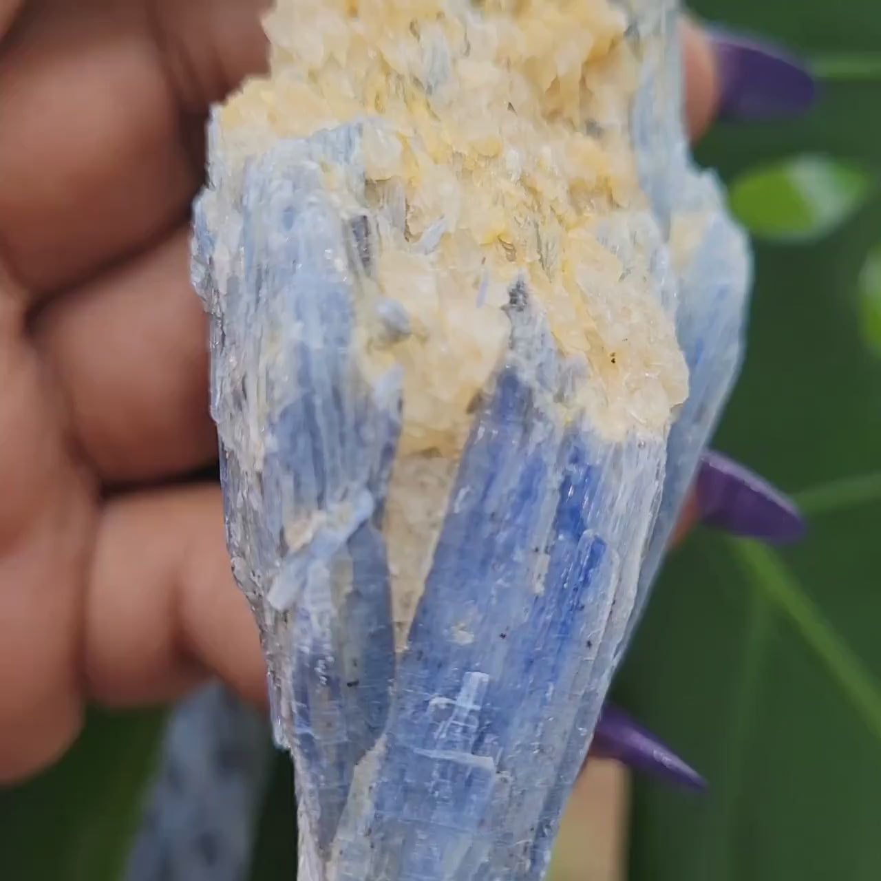Kyanite & Quartz Crystal - Raw Natural Mineral Specimen - Home Decor - Crystal Collector - Gift