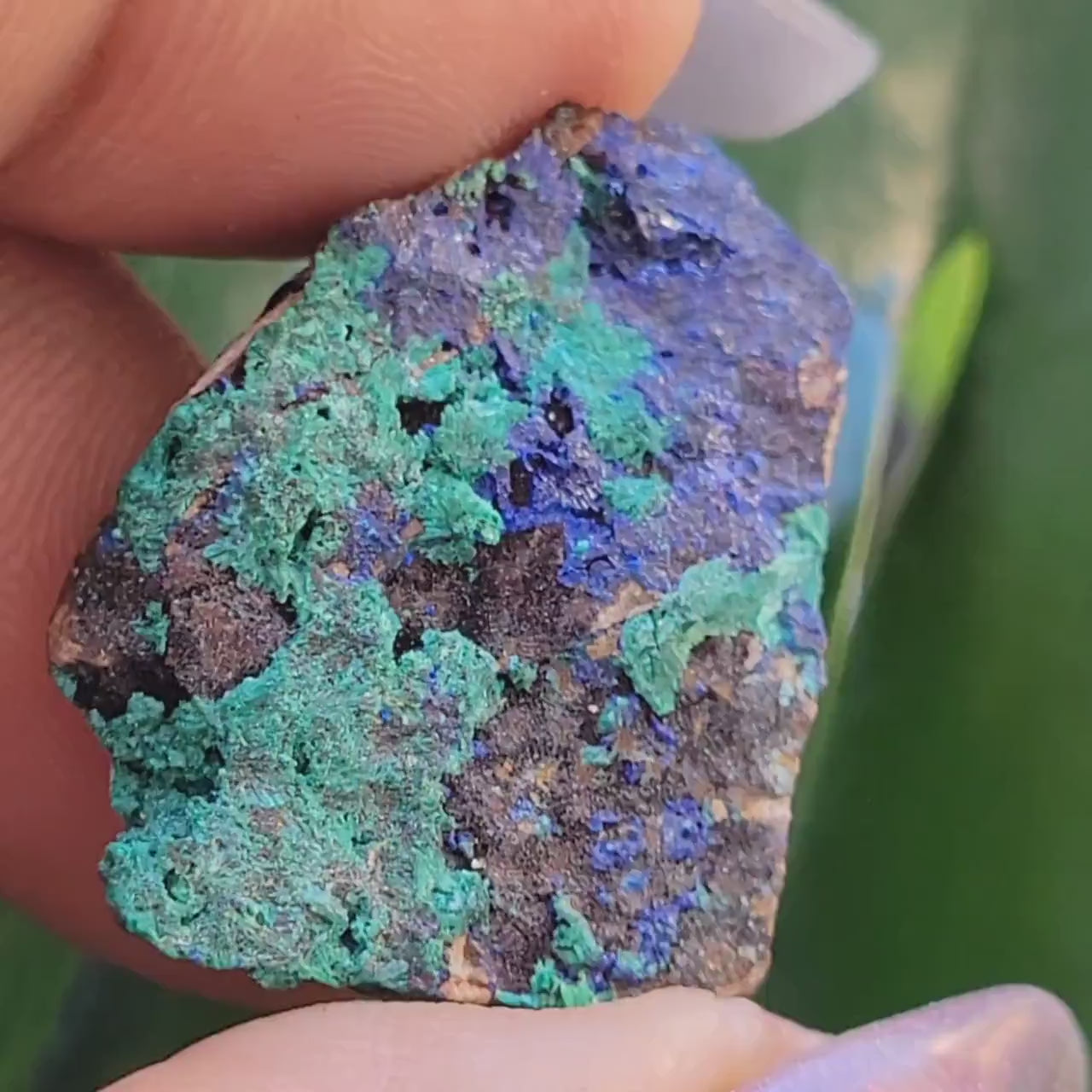 Fibrous Malachite and Azurite Specimen in Display Case-Collector Birthday Christmas Gift Ideas-Strength and Abundance Energy-Green-31g