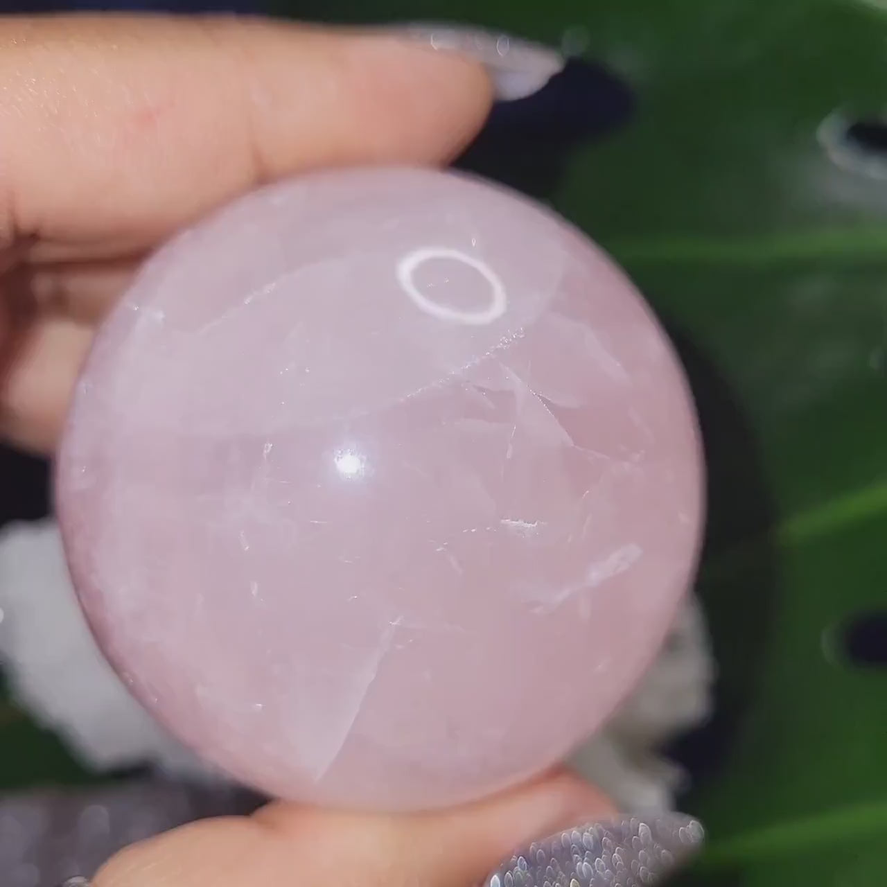 Star Rose Quartz Sphere | High Quality Crystal from Brazil | 52mm | Crystal Collector | Heart Chakra | Birthday or Valentines Day Love Gift
