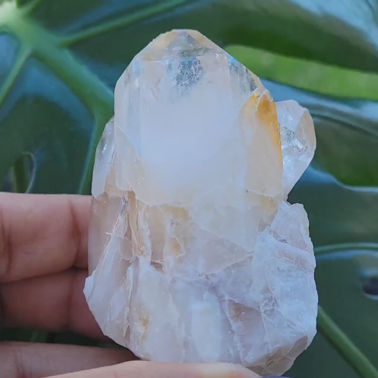 Lemurian Quartz Golden Healer Crystal Cluster from Arkansas | Crystal Collector | Birthday Christmas Gift Ideas | Home Decor