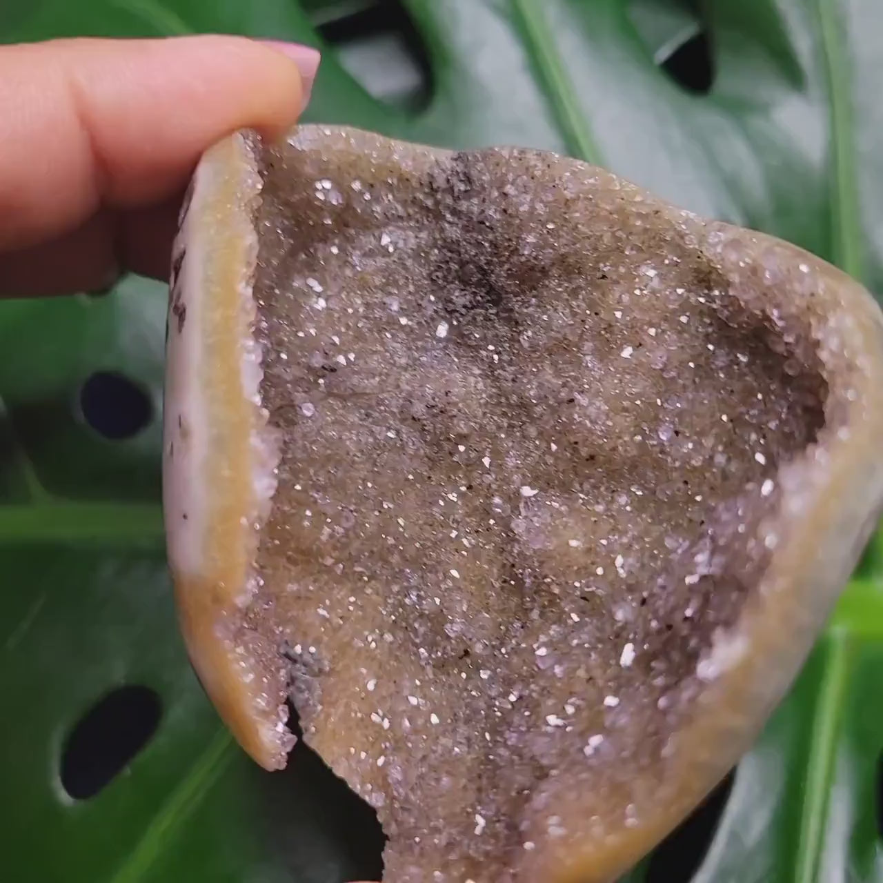 High Quality Galaxy Amethyst Shell with polished back from Uruguay - Home Decor - Crystal Collector - Gift Ideas - Green and Gold - 100g