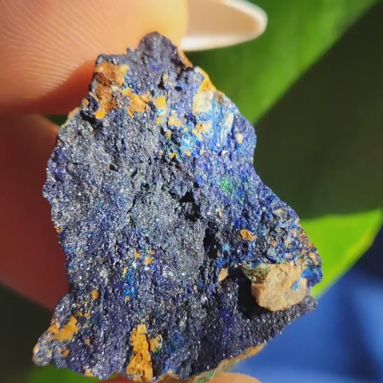 Azurite and Malachite Specimen in Display Case-Collector Birthday Christmas Gift Ideas-Strength and Abundance Energy-Blue and Green-31g