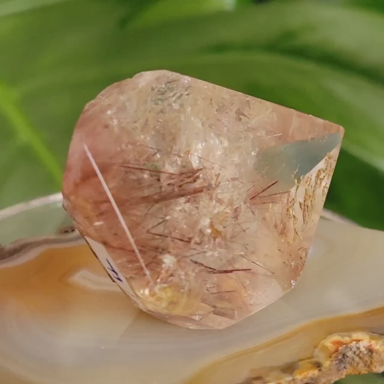 AAA Grade High Quality Red Copper Rutile Quartz Crystal with Rainbows from Brazil | Gorgeous Unique Crystal Collector Gift | Love | 33g